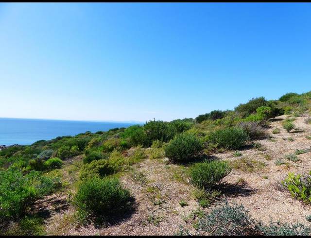 LAND FOR SALE IN ST HELENA VIEWS